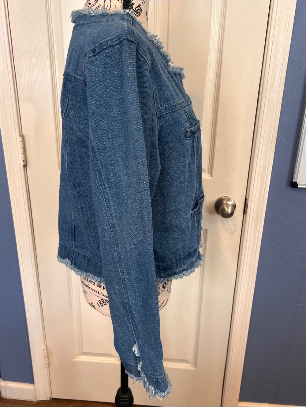 Denim Button-Front Jacket - Blue - Picture 5 of 10